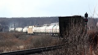 preview picture of video '[RZD] 2ТЭ116-1442 с грузовым поездом / 2TE166-1442'