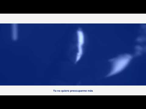 Moisés No Duerme - 01 Ya no quiero preocuparme [AZUL]