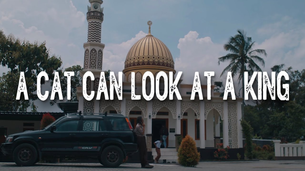 Trailer A CAT CAN LOOK AT A KING - Official Selection JAFF (Jogja-NETPAC Asian Film Festival) 2024