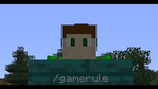 Come usare il comando gamerule su Minecraft!