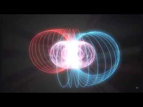 Torus - Magnetic Fields - Embedded Vortex Visualisation
