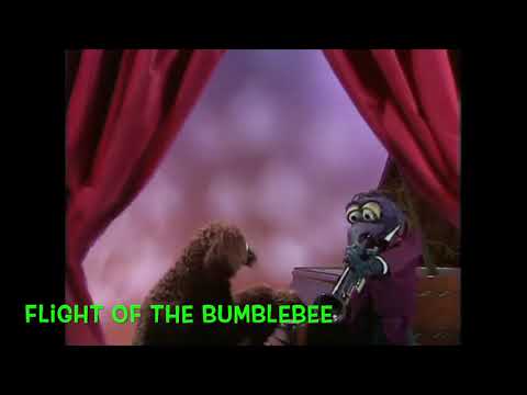 Muppet Songs: Gonzo - Flight of the Bumblebee (2)