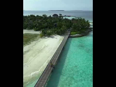 Videos del Heritance Aarah 5★ en Atolón Raa, MaldivasVer MásVerPrecios16CerrarConsulta por Whatsapp 🇦🇷BookingTripadvisorExpediaAgodaTravelocityOrbitzTripSkyscannerDespegarHotelesDestiniaTrivagoTurismocityLastminuteTuiWotif