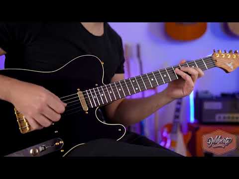 Diliberto Pickups - TL Deluxe -  Clean Tone Demo