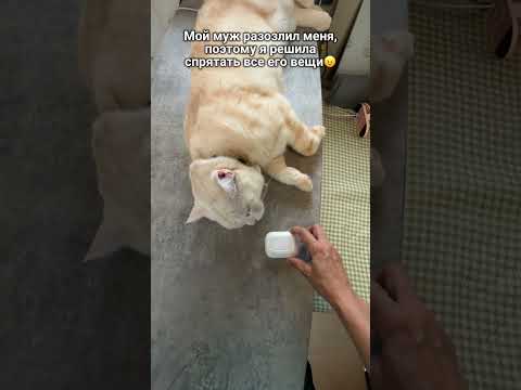 БУДЕТ ИСКАТЬ ЭТО ЧАС