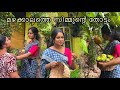 ഇത്രയും ഫ്രൂട്ട്സോ Simmu S Garden Tour Quppi