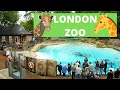 Exploring London Zoo A Wild Wildlife Adventure In The Heart Of The City LondonZoo Wildlife