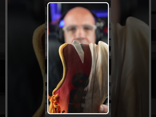 Pra que serve essa barbatana?