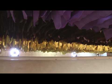 Conceria Tempesti S.p.A. - Processo di lavorazione della pelle