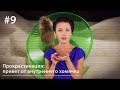 Прокрастинация: привет от внутреннего хомячка // Все как у зверей #9 Прокрастинация: привет от внутреннего хомячка // Все как у зверей #9