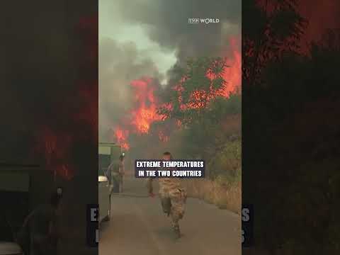 #Wildfires sweep southern #Europe amid intense #heatwave