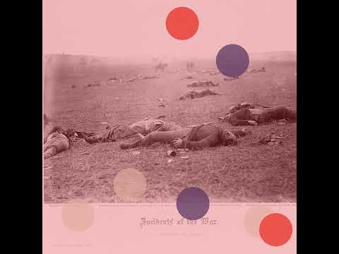 'A Harvest Of Death' And The Power Of Photography (1863) w/ Robert Sullivan