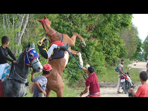 Desafio domingueiro: DOUTORA vs DELICADO travam novo duelo