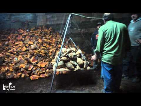 Manno Briar - video documentario