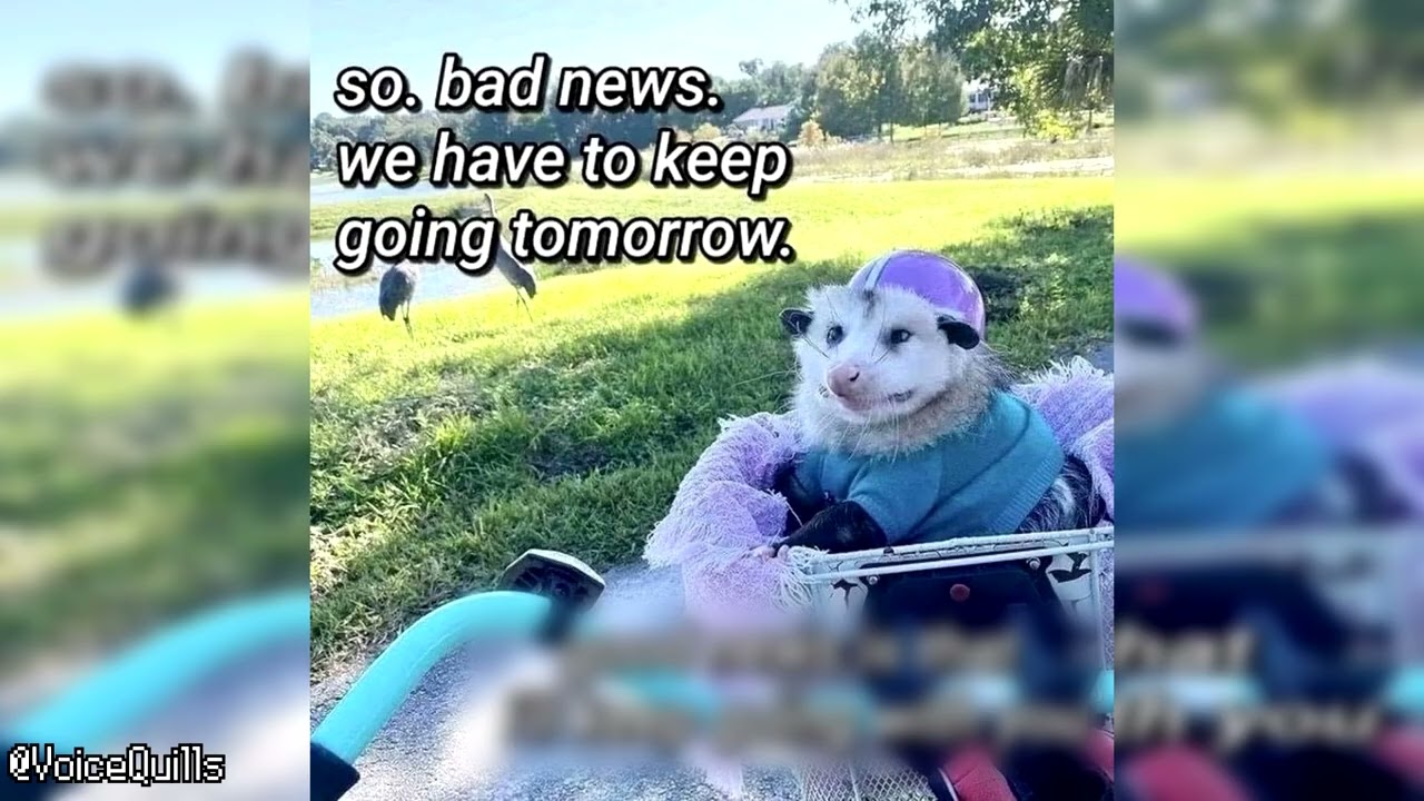 We Have To Keep Going