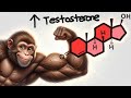 The Simple HABIT  That BOOSTS Testosterone Daily | Explained By Mighty