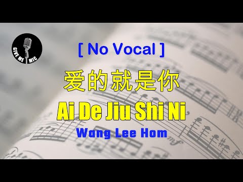 王力宏 ( Wang Lee Hom ) - 爱的就是你 ( Ai De Jiu Shi Ni ) [ No Vocal ]