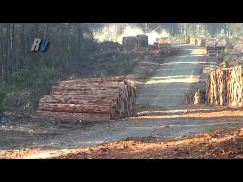 2011 İstanbul Ralli Kupası 1. Ayak / Cüneyt Göz - Ahmet İskender Kaya / Ford Ka