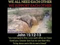 Lean On Me When You Re Not Strong