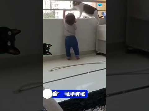 𝗚𝗮𝗿𝗱𝗲𝗻𝗶𝗮 𝘁𝗼𝗹𝗱 𝗺𝗲 𝗱𝗼𝗻'𝘁 𝘄𝗼𝗿𝗿𝘆, 𝗶 𝗮𝗺 𝗵𝗲𝗿𝗲!! 𝗙𝗼𝗿 𝘆𝗼𝘂 👷‍♂️😻