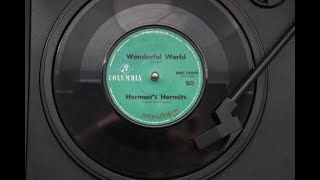 Wonderful World(Hermans Hermits)Music video