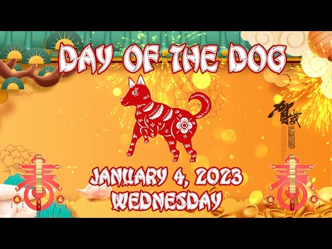 04 January 2023; Wednesday, Day of the Dog
