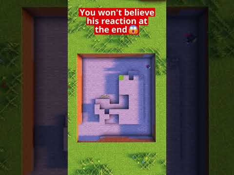 You Won't Believe my Friend's Reaction After This😱 #minecraft #shorts