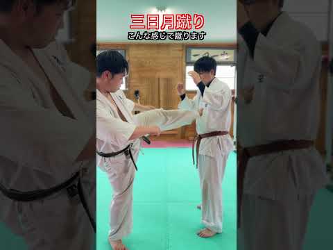 【武道・武術】実戦ではかなり効果的！？三日月蹴り　解説！！　#aikido ＃karate #martial #武道 #空手＃合気道＃筋トレ#selfdefens