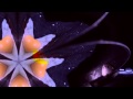 Music Errors - Magna Encarta (Unofficial Music Video)