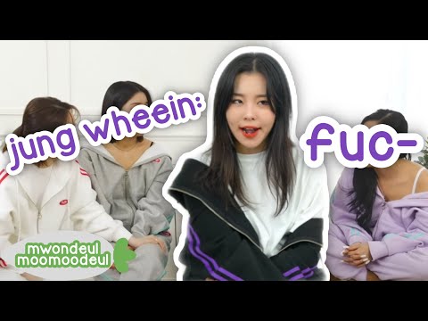 MAMAMOO reaction on WHEEIN 'swearing' cutely on loop
