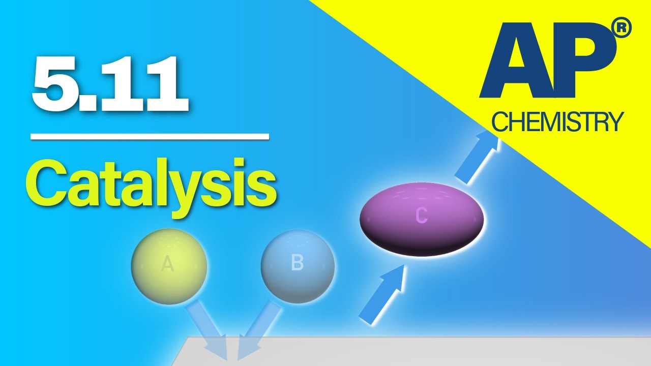 AP Chemistry 5.11 – Catalysis | Revision Video #apchemistry