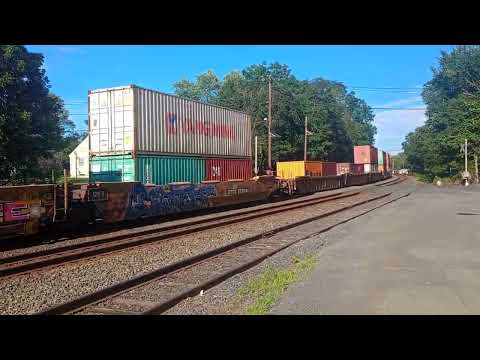 Ns 4920 & 4524 Ac44c6m Leeds intermodal