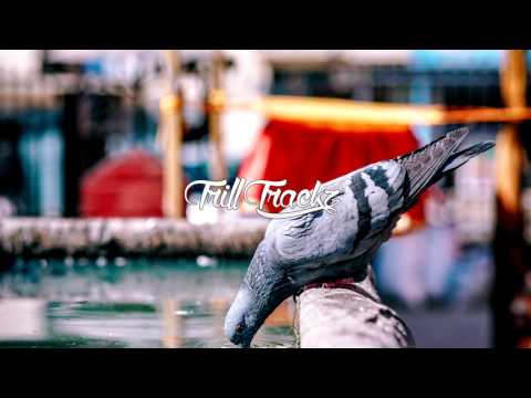 C-Trox - Bang (ft. Zak Downtown & Kevin Flum) (Prod. sugar hollows)