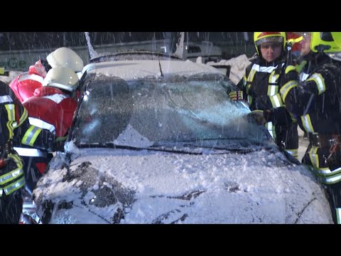 MEgional am 29. Januar 2019