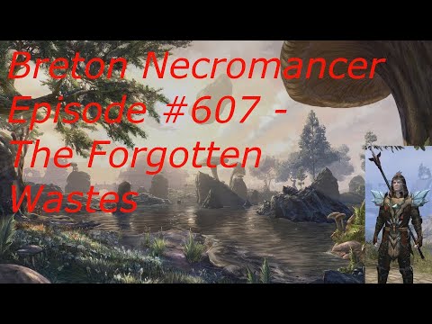 Breton Necromancer Game Play, Episode 607.The Forgotten Wastes