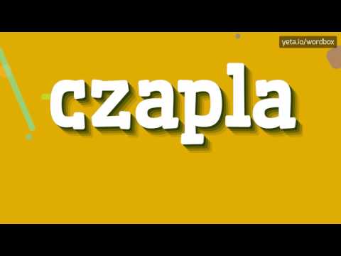 CZAPLA - HOW TO PRONOUNCE IT!?