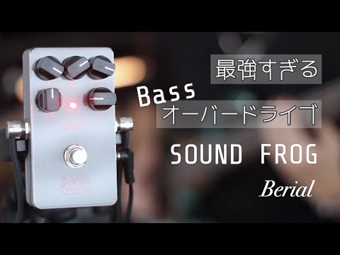 SOUND FROG  BerialS MIJ image 11