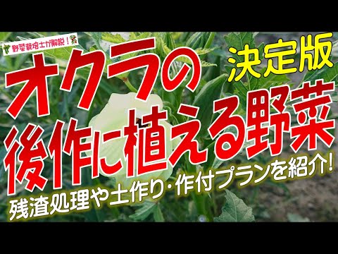  4月に種や植物から植える野菜は何ですか？この小さなガイドはあなたの失望を救うでしょう!  庭園