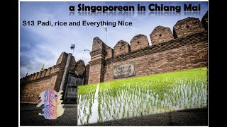 S13 Padi, Rice and Everything Nice