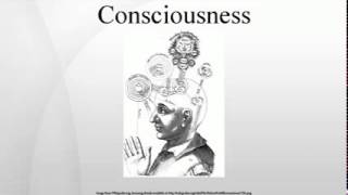 Consciousness