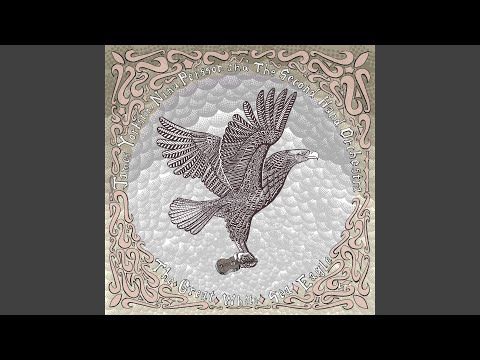 Video thumbnail for A Hollow Skeleton Lifts A Heavy Wing
