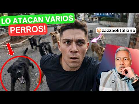 Zazza the Italian is ATTACKED by several DOGS in Brazil ⚠️