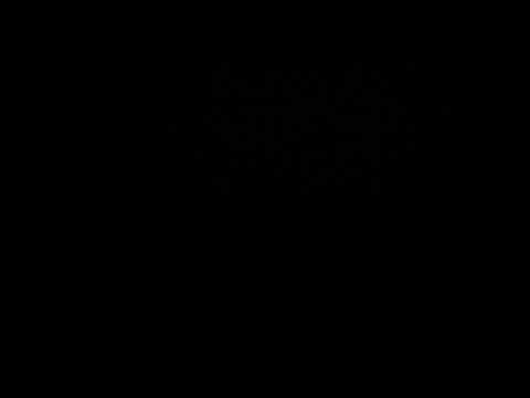 (40) četrdeset Nevevijevih hadisa (prevod znacenja)