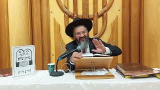 עם מי חטאו בני ישראל, בנות מואב או מדין ?, פרשת פנחס, י"ג בתמוז תשפ"ב ברית שלום הרצליה
