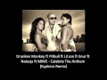 Pitbull ft Lil Jon ft Enur ft Natasja ft MIMS ...