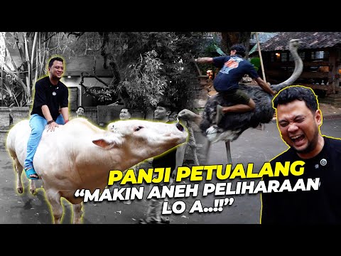 PANJI PETUALANG SAMPE GELENG2 KEPALA...!!