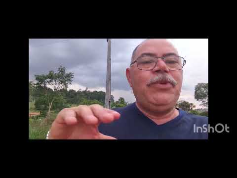 As cinzas dos rapazes - nova união Rondônia 