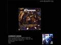 Common Soul By The Pound Album Version