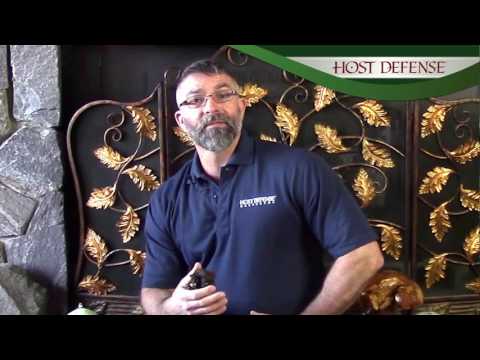 An Introduction to Chaga