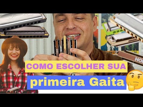 Como escolher sua primeira Gaita @ Dica de Gaita